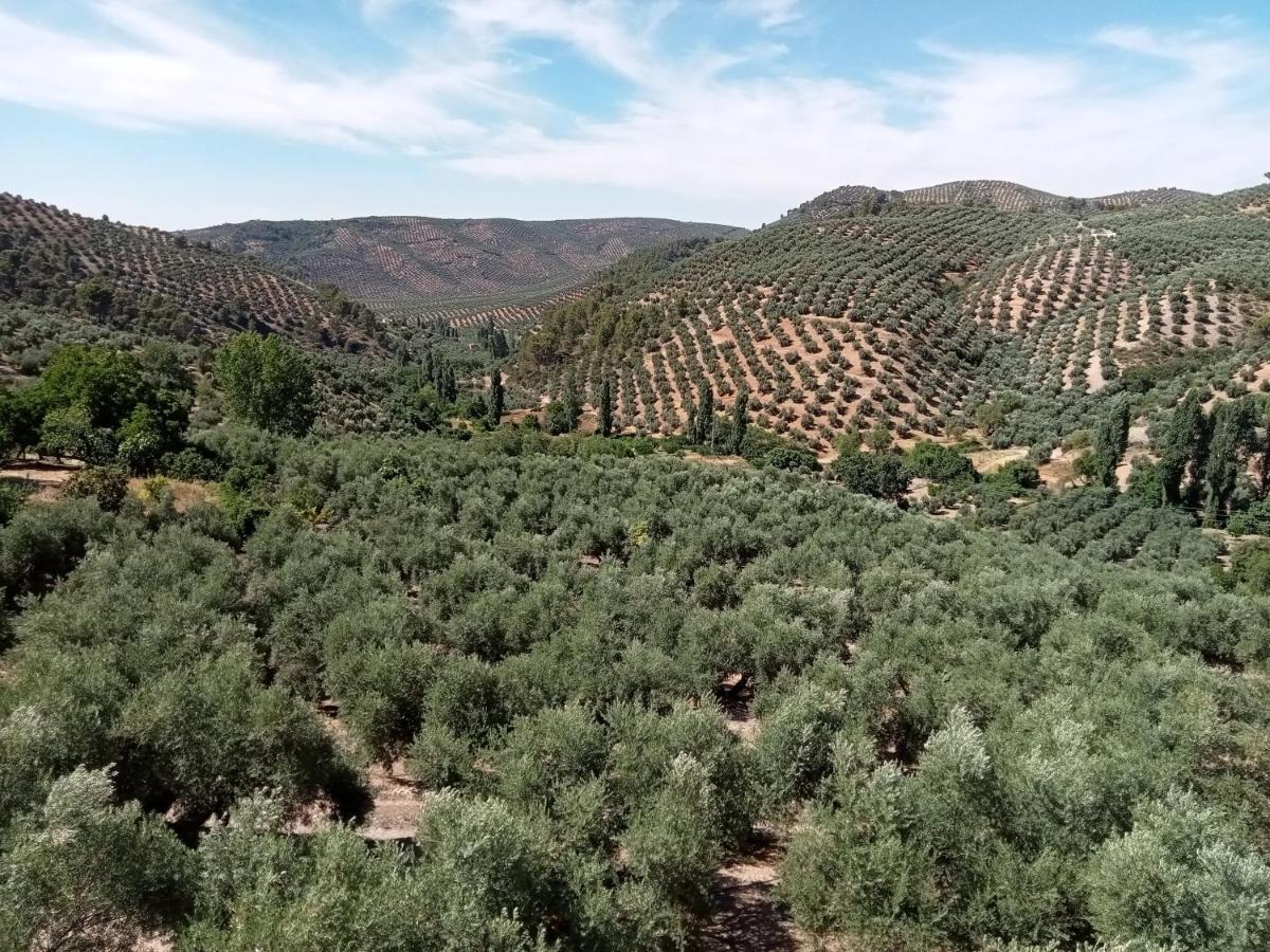 El Almendro De La Tia Teresa Villa Prados de Armijo Exterior foto