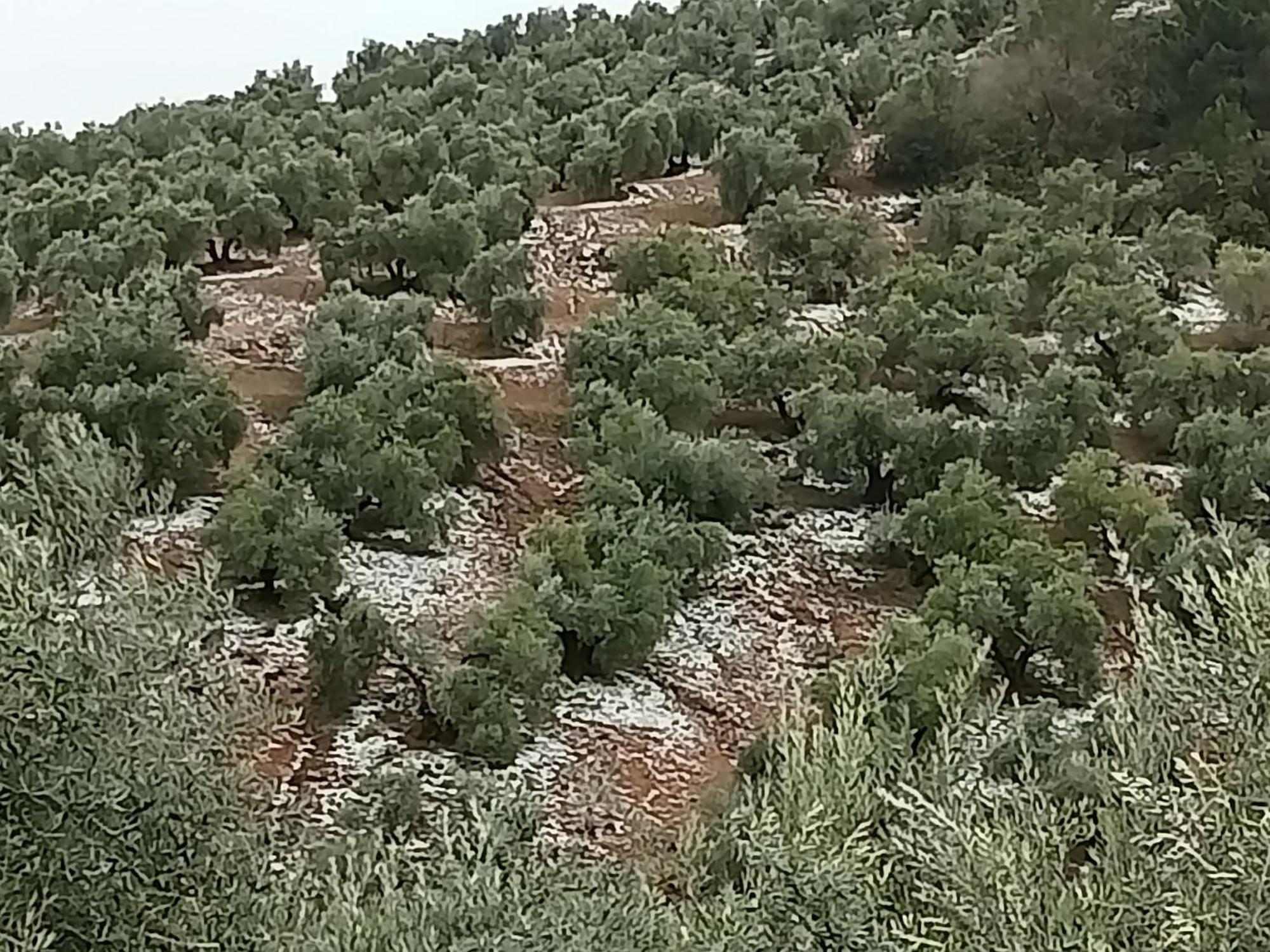 El Almendro De La Tia Teresa Villa Prados de Armijo Exterior foto